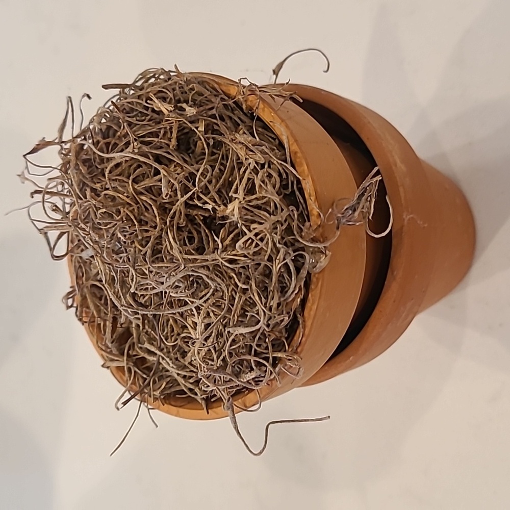 Faux Mini Clay Pot Bundle